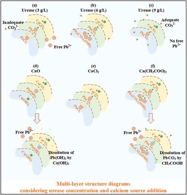 Effects of the Urease Concentration and Calcium Source on Enzyme-Induced Carbonate Precipitation for Lead Remediation